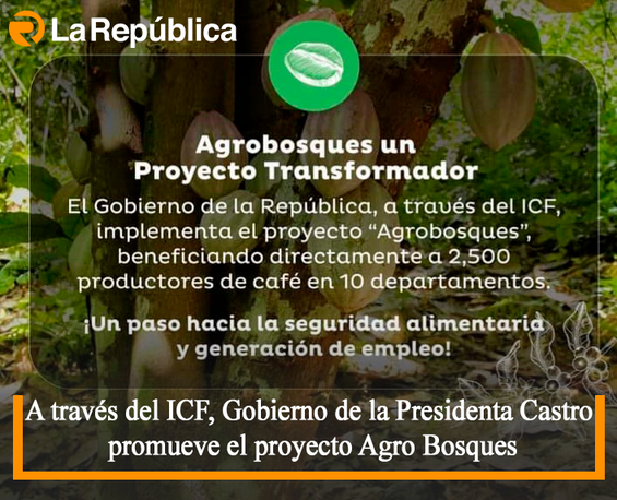  A través del ICF, Gobierno de la Presidenta Castro promueve el proyecto Agro Bosques - Cover Image